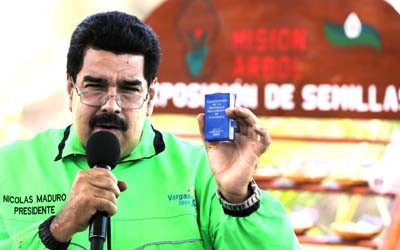 1264 7maduro 7A